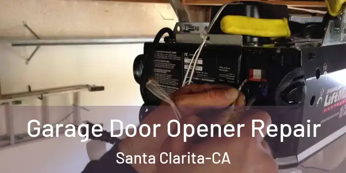  Garage Door Opener Repair Santa Clarita-CA